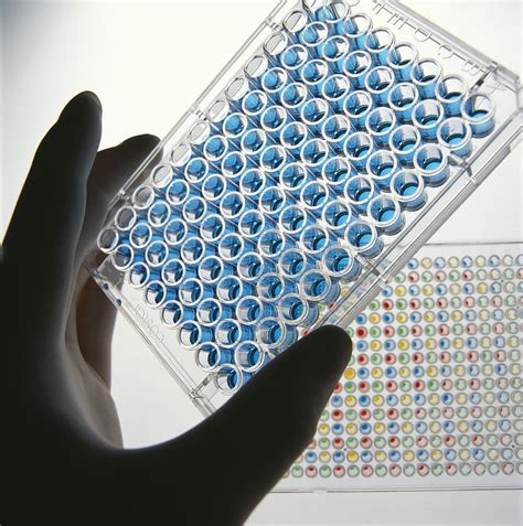 elisa test using vitamin|CED055Ge .